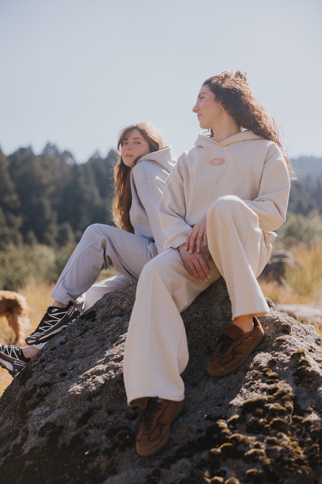 Basic Cropped Hoodie